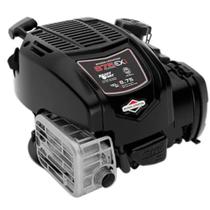 Motor à Gasolina eixo Vertical BRIGGS Série 675EXI Partida Manual 163CC 3,5HP