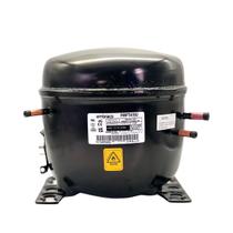 Motor Compressor 1 1/4 Hp Fmft415U Gás R290 220V Inverter