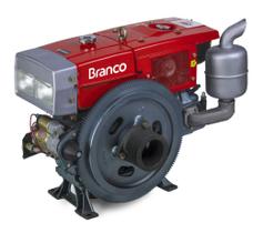 Motor Diesel 22CV 1195cc P.Elét Radiador BDA-22.0RAE Branco