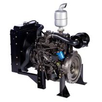 Motor diesel Branco BD 30.0E Partida elétrica