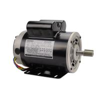 Motor Elétrico 2CV 2 Pólos Monof Bivolt Reversível IP21 56H Lynus