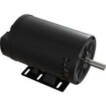Motor Elétrico Aberto Trifásico Nova 5,0 Cv 2 Polos Carcaça N56h 220 V~/380 V~ Ip21 Alta Eficiência