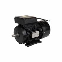 Motor Elétrico de 2CV 127/220V 60Hz 3454 RPM Bivolt Com 2 Pólos e Proteção IP55 YL90S-2 Lynus