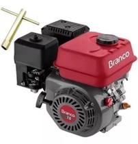 Motor estacionário 220v b4t 7hp manual gasolina branco com alerta