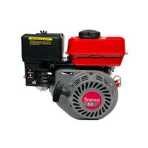 Motor Estacionário B4t 5.5 Branco C/ Manual E Kit Ferramenta