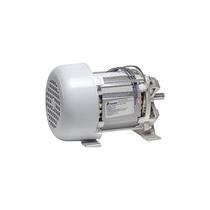 Motor Estator Montado Deslizante Max 3/4 - 220v - Peccinin 220v Motor Estator Montado Deslizante Max 3/4 - 220v - Peccinin 220v