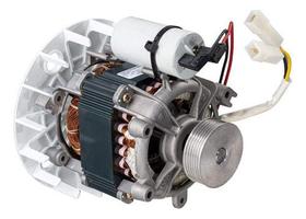 Motor Lavadora De Roupas Plus Mueller 1/5cv