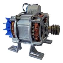 Motor Máquina De Frango Frangueira + Polia S/fim 1/3cv 127v