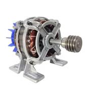 Motor Máquina Frango Frangueira + Polia Rosca Sem Fim 127v