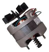 Motor Para Churrasqueira Giratória Grill 1/30 Max Torque.