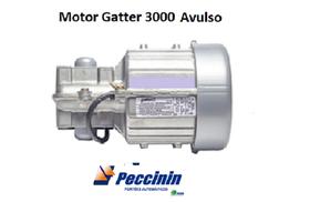 Motor Pivo/ Basculante Gatter 1/4 Peccinin avulso 110 voltes