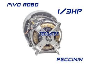Motor Pivô Robô 1/3cv 220v 60hz Peccinin Portão Automático