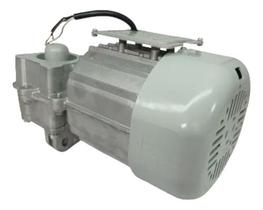 Motor Pivo Super 1/3 Cv Peccinin Avulso