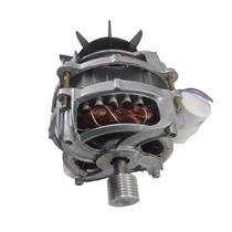 Motor Tanquinho 440w Lava Até 20kg Vários Modelos 1/3cv 220v