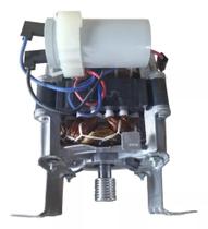 Motor Tanquinho Colormaq 127v Lcs 10kg /20kg Original - WEG