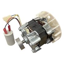 Motor Tanquinho Lavadora Mueller Plus Cmp 110v Original