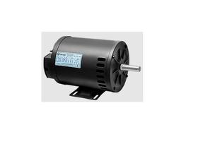 Motor Trifásico 2 Polos 2cv Aberto IP21 220V - Nova