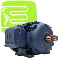 Motor Trifásico 4,0 Cv - 2 Polos 4 Tensões Bnd9003208