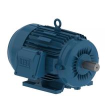 Motor Trifásico Blindado 4,00 CV - 4 Polos - 220/380V - IR3 Premium - 11417385 - Weg