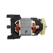 Motor Universal 220V P/Hidrolavadora Karcher K2