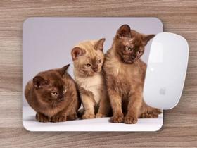 Mouse Pad Coleção Gatos Burmese, o einstein