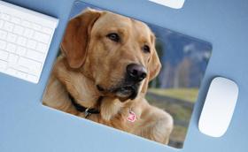 Mouse Pad Emborrachado Personalizado Dog Pet Cachorro Cão, 40x30