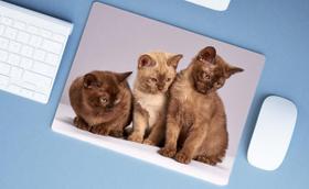 Mouse Pad Emborrachado Personalizado Gatos Cat Felino, 40x30