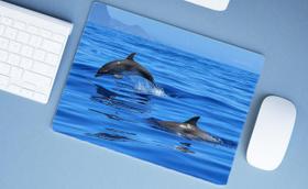 Mouse Pad Emborrachado Personalizado Praia Mar Oceano Peixe, 40 x 30