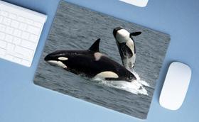 Mouse Pad Grande, Baleia Orca
