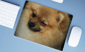 Mouse Pad Grande, Spitz Alemão Mouse Pad Grande, Spitz Alemão