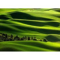 Mouse Pad Paisagem Natureza 15x21cm Neoprene Mouse Pad Paisagem Natureza 15x21cm Neoprene