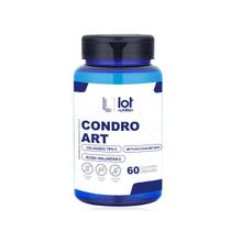 MSM Colágeno Tipo 2 Ácido Hialurônico 60 cápsulas Articulação Pele Premium