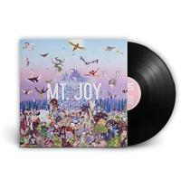 MT. JOY - LP Rearrange Us Vinil - misturapop