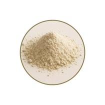 Mucuna Branca em Pó - 750g Mucuna Branca em Pó - 750g