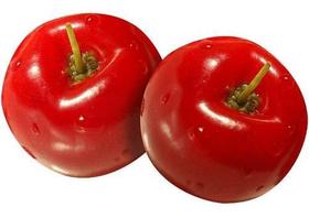 Muda Acerola Gigante doce Clonada por Estaca Muda Acerola Gigante doce Clonada por Estaca