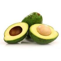 Muda de Abacate Breda - Enxertadas Muda de Abacate Breda - Enxertadas