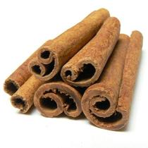 Muda de Canela da Índia ou caneleira do ceilão (Cinnamomum zeylanicum)