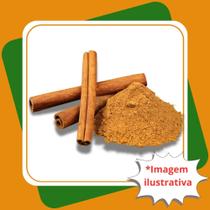 Muda de Canela do Ceilão Canela Verdadeira Utiliza a Casca Cinnamomum Verum Muda de Canela do Ceilão Canela Verdadeira Utiliza a Casca Cinnamomum Verum
