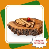 Muda de Canela do Ceilão Canela Verdadeira Utiliza a Casca Cinnamomum Verum Muda de Canela do Ceilão Canela Verdadeira Utiliza a Casca Cinnamomum Verum