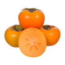 Muda de Caqui Fuyu Enxertada Chocolate Branco Rápida Produção Produz em Vasos