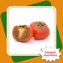 Muda de Caqui Kioto Enxertada Diospyros kaki L.