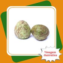 Muda de Cortiça Lisa Rollinia rugulosa