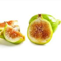 Muda de Figo Pingo de Mel ou Kadota de estaca ja produz Muda de Figo Pingo de Mel ou Kadota de estaca ja produz