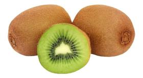 Muda De Kiwi Fêmea Para Produzir - Enxertado