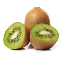 Muda de Kiwi Matua Enxertada Macho Rápida Produção Produz em Vasos