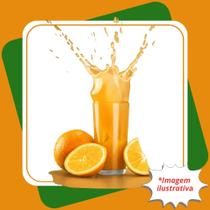 Muda De Laranja Folha Murcha Enxertada Citrus sinensis L. Osbeck.