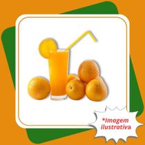 Muda de Laranja Lima da Pérsia ou Lima Antiga Citrus limettioides Tan.