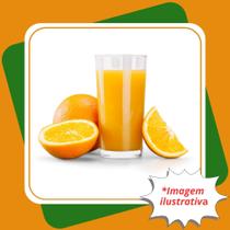 Muda De Laranja Lima Sorocaba Enxertada Citrus Sinensis L. Osbeck.