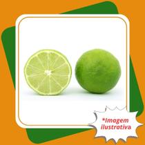 Muda de Limão Citrumelo Swigle Citrus Paradisi x Poncirus Trifoliata