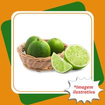 Muda De Limão Tahiti Enxertada Citrus latifolia Yu. Tanaka Tanaka.